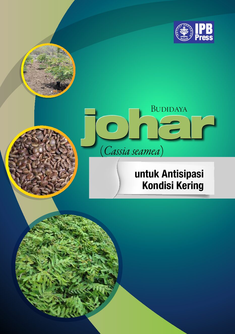 Cover Budidaya Johar (Cassia Seamea) Rina Laksmi 2014
